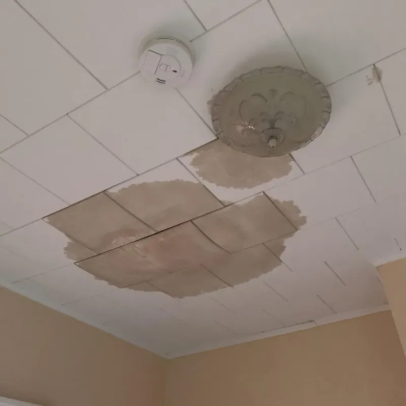 Ceiling Water Damage Repair in Akron, NY