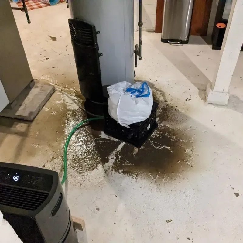 Sewage Backup Cleanup Service in Akron, NY